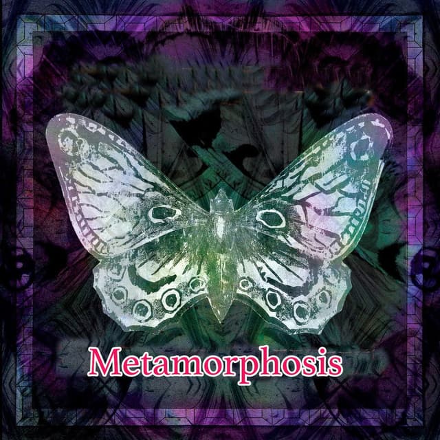Metamorphosis cover