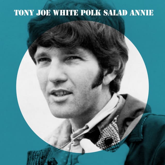 Polk Salad Annie (Live) cover