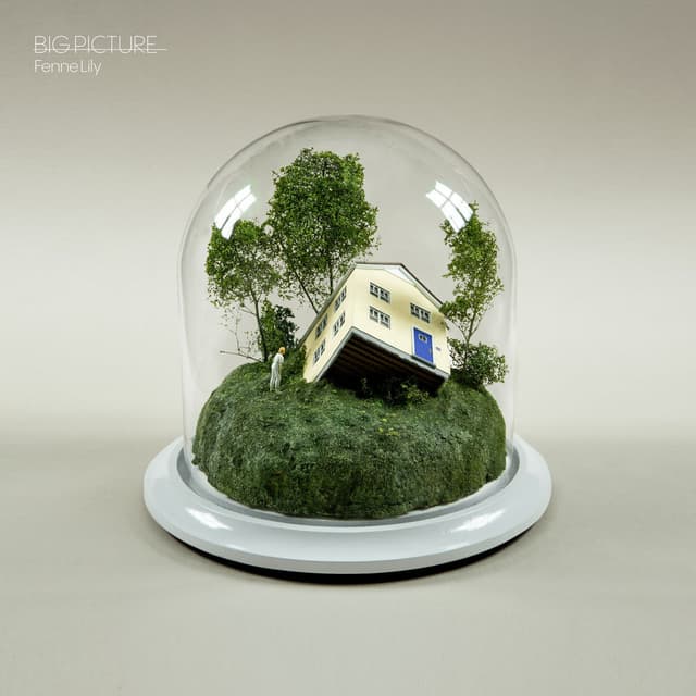 Big Picture album cover