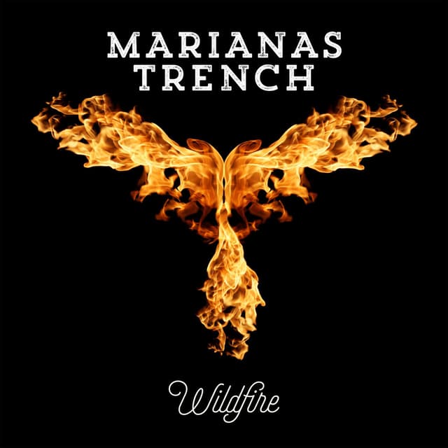Wildfire cover