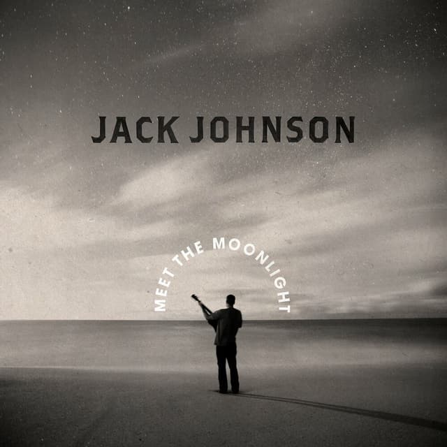 Meet the Moonlight cover