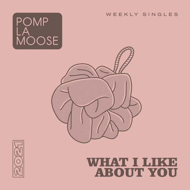 What I Like About You cover