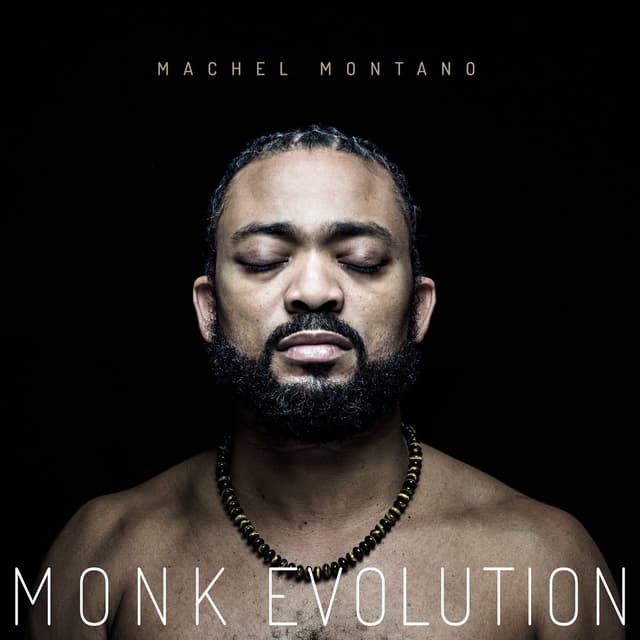 Monk Evolution cover