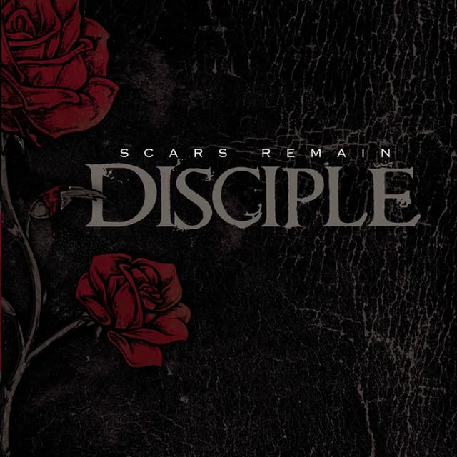 Scars Remain cover