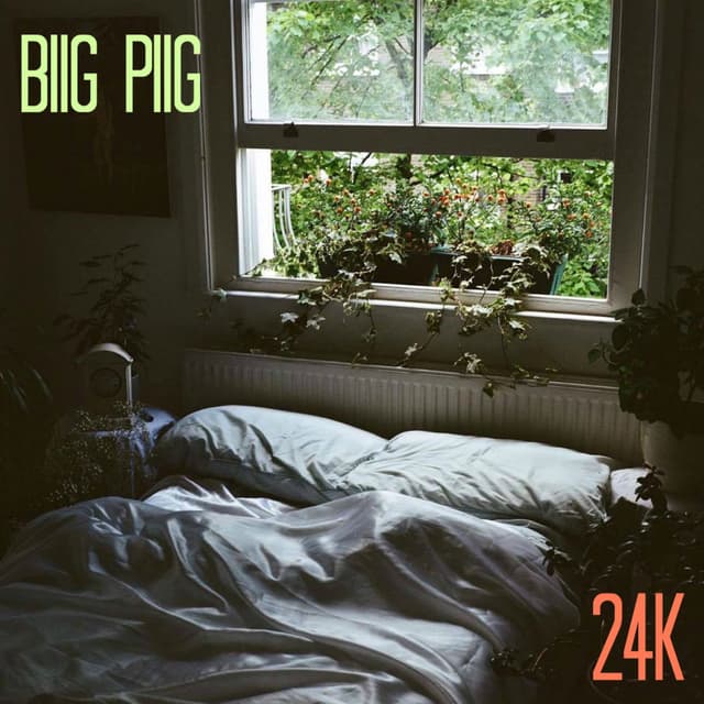 24K cover
