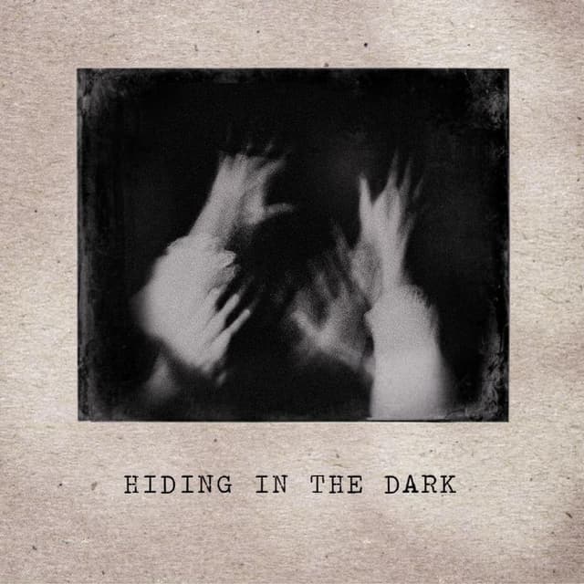 Hiding in the Dark cover