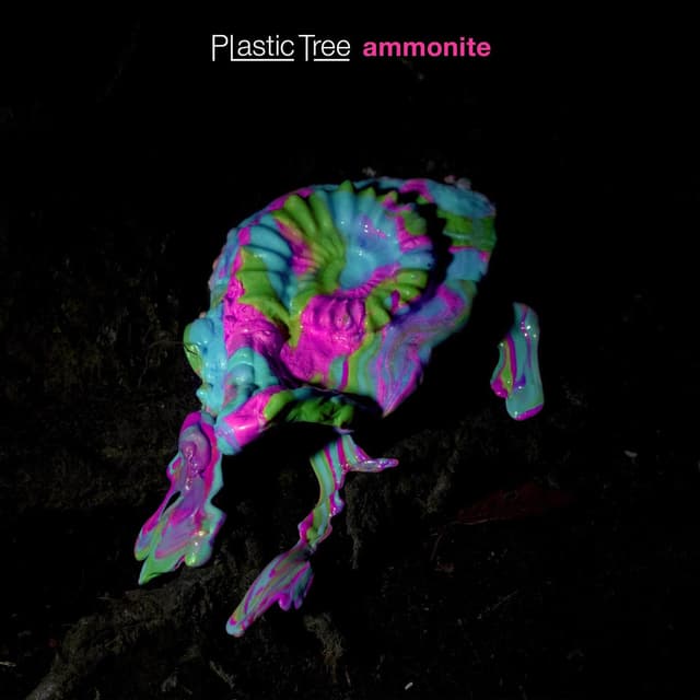 Ammonoidea cover