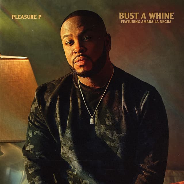 Bust A Whine cover