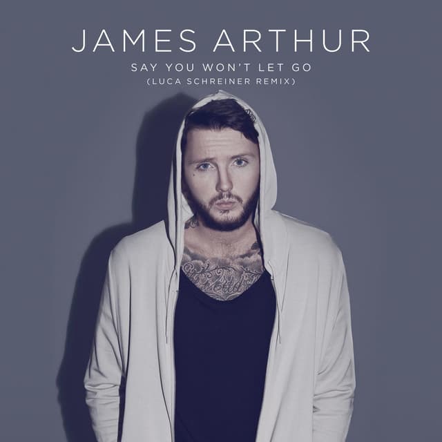 Say You Won't Let Go (Luca Schreiner Remix) cover