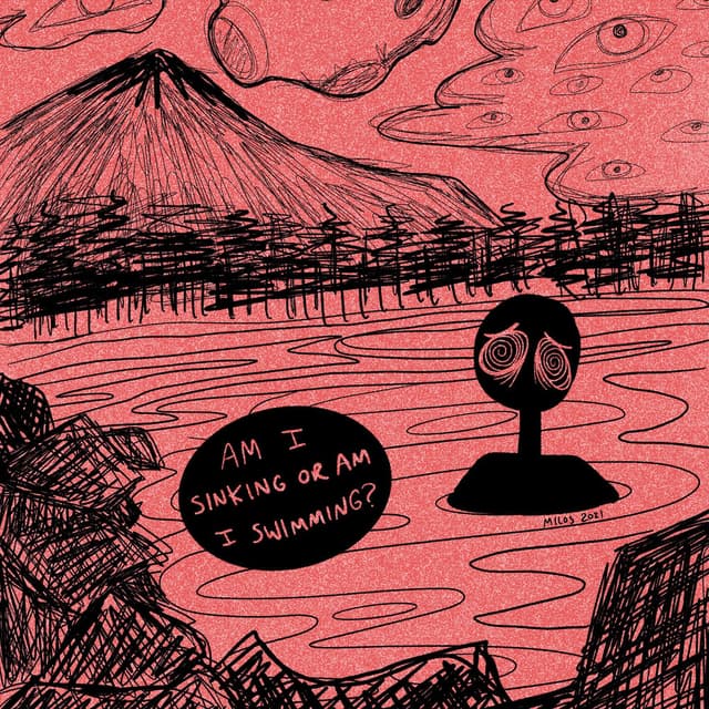 Am I Sinking or Am I Swimming? cover