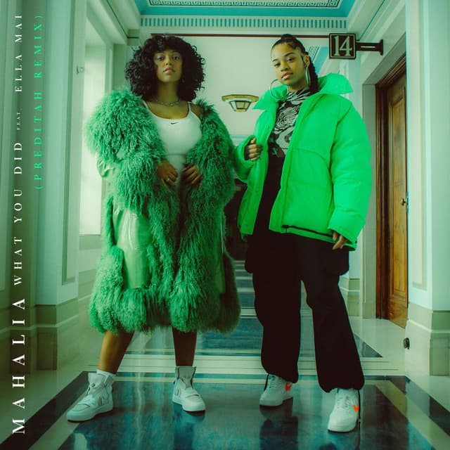 What You Did (feat. Ella Mai) (Preditah Remix) cover