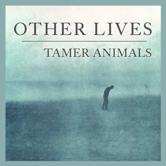 Tamer Animals cover