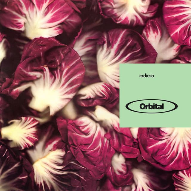 Radiccio cover