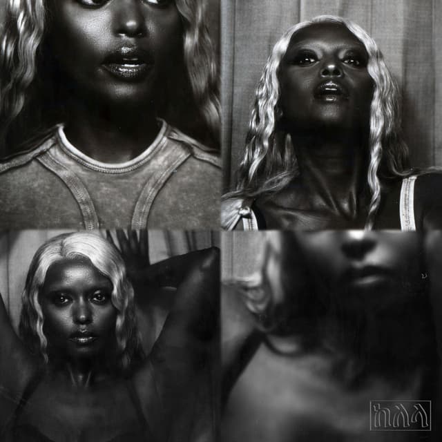 point blank cover