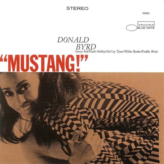 Mustang cover