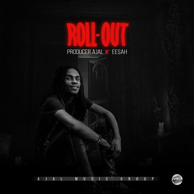 Roll-Out cover
