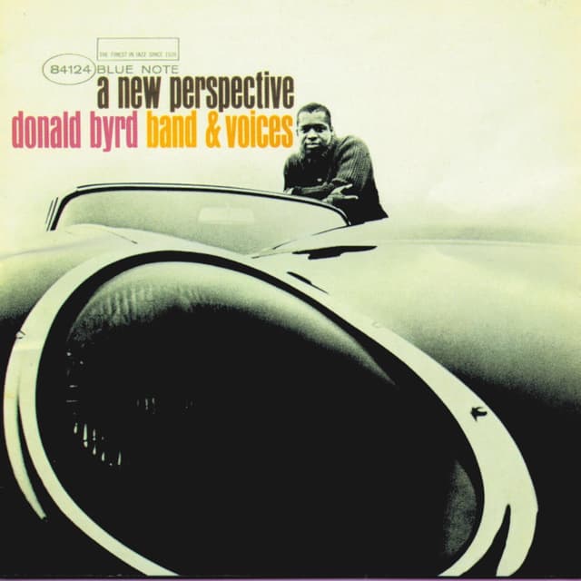 A New Perspective album cover