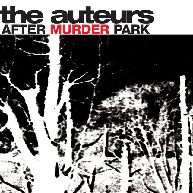 After Murder Park album cover