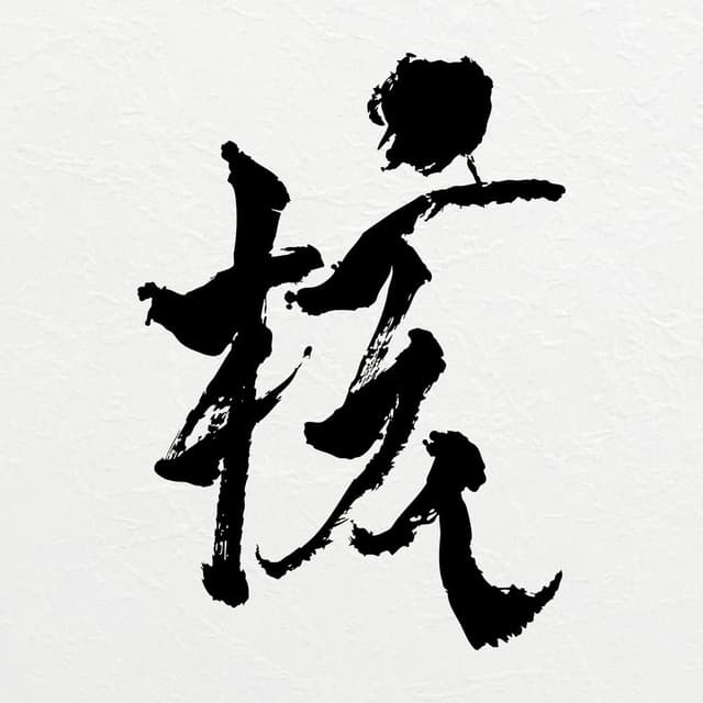 4 SEASONS cover