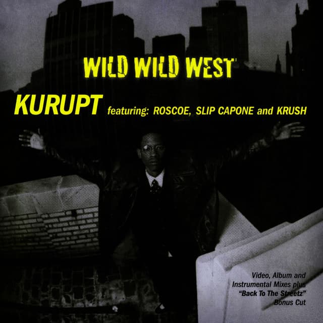 Wild Wild West cover