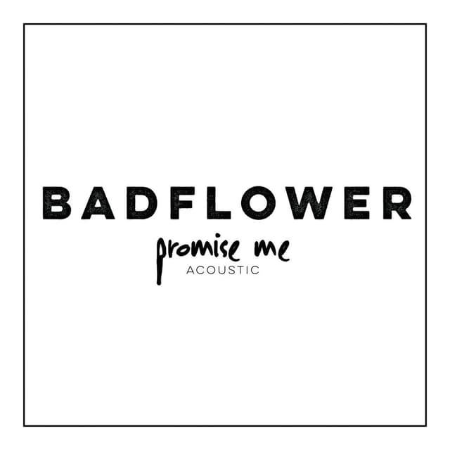 Promise Me (Acoustic) cover