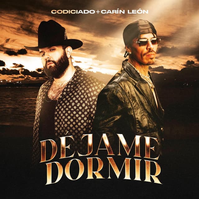 Dejame Dormir cover