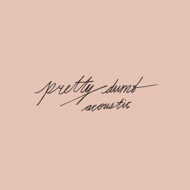 Pretty Dumb (Acoustic) cover