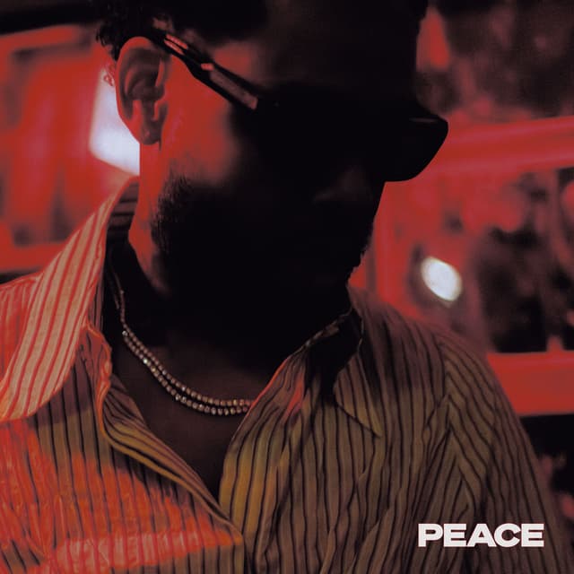 PEACE cover