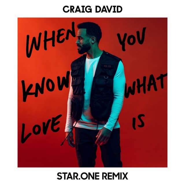 When You Know What Love Is (Star.One Remix) cover