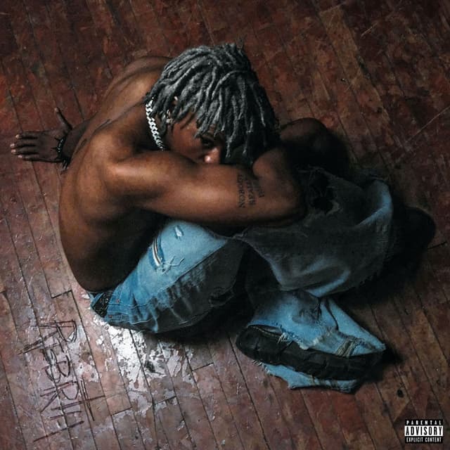 FLY ENOUGH TO BE VIRGIL cover