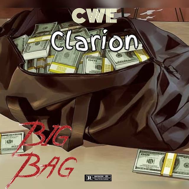 Big Bag cover