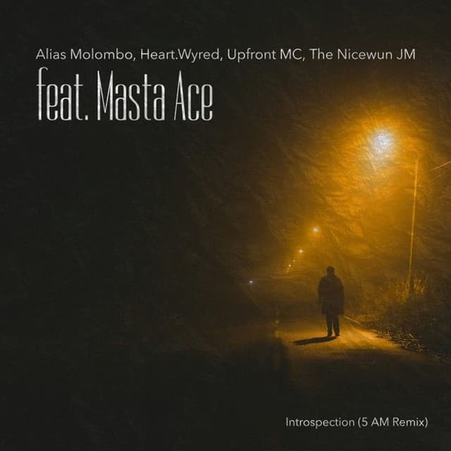 Introspection (5 AM Remix) cover