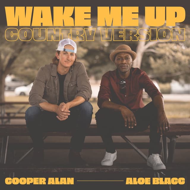 Wake Me up (Country Version) cover