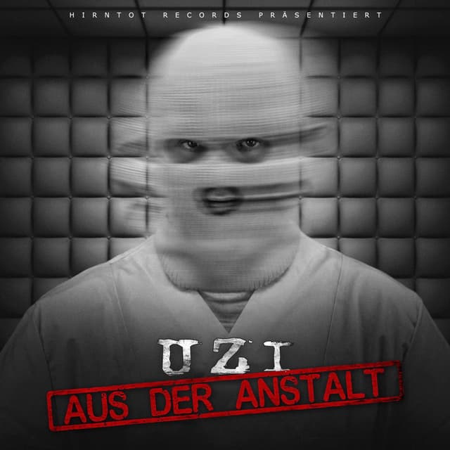 Aus der Anstalt cover