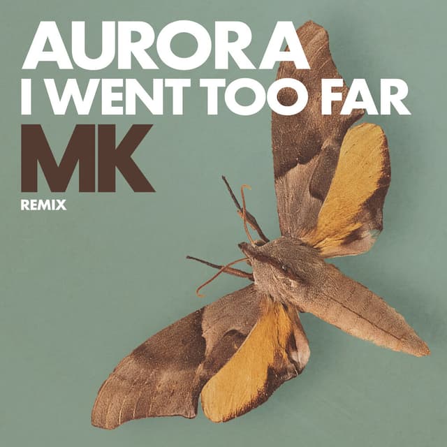 I Went Too Far (MK Remix) cover
