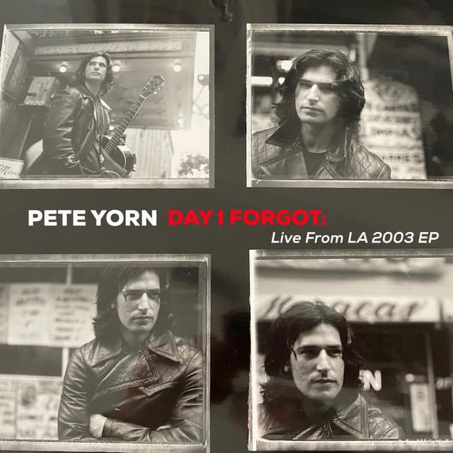 Day I Forgot: Live From LA 2003 EP cover