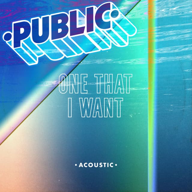 One That I Want (Acoustic) cover