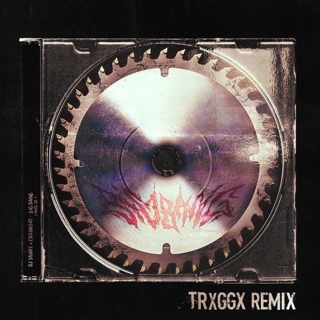 Big Bang (TRXGGX Remix) cover