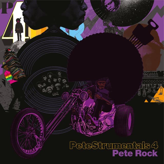 Petestrumentals 4 cover