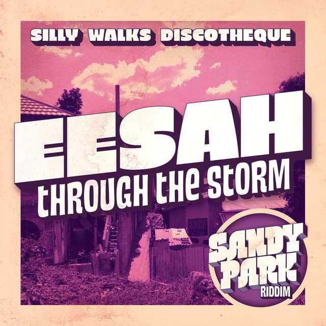 Through The Storm cover
