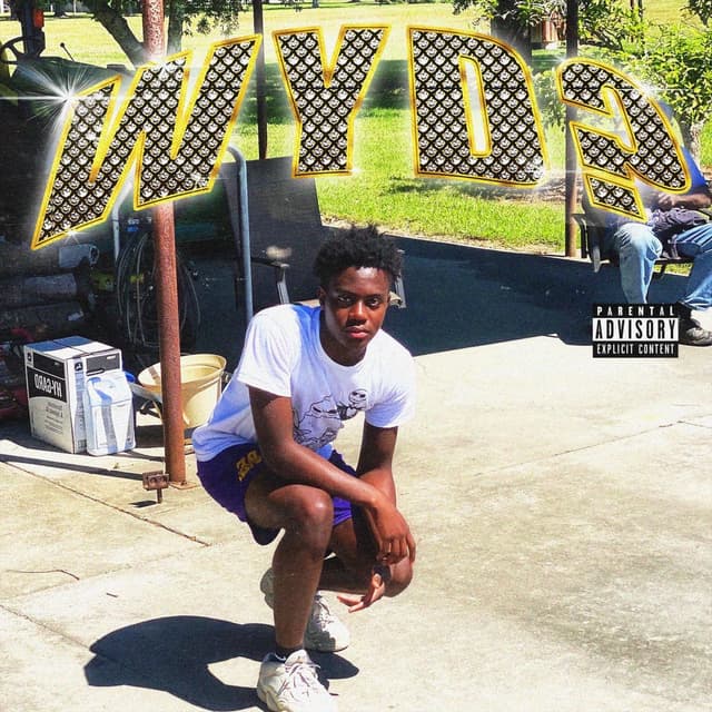 Wyd ? cover