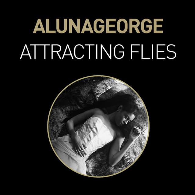 Attracting Flies (Remixes) cover