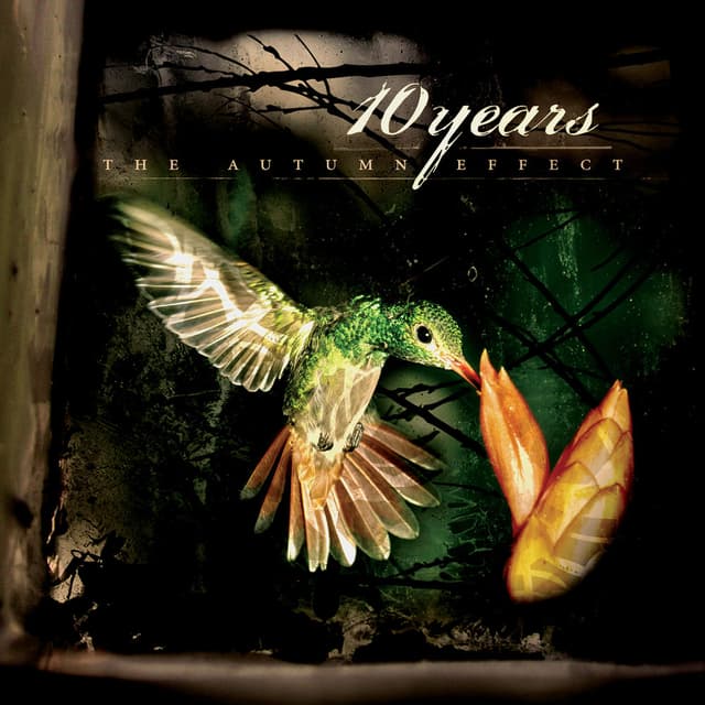The Autumn Effect cover