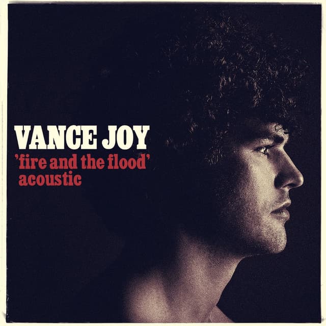 Fire and the Flood (Acoustic) cover