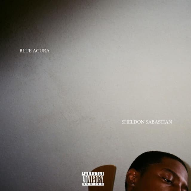 Blue Acura cover