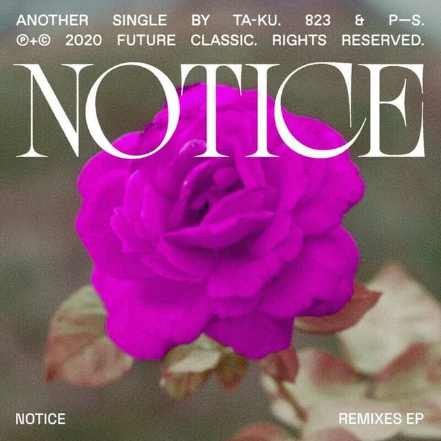 Notice (Remixes) cover