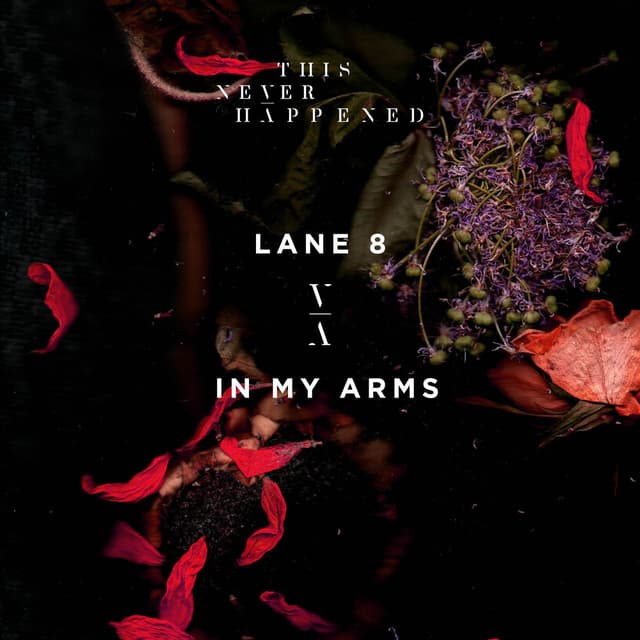 In My Arms cover