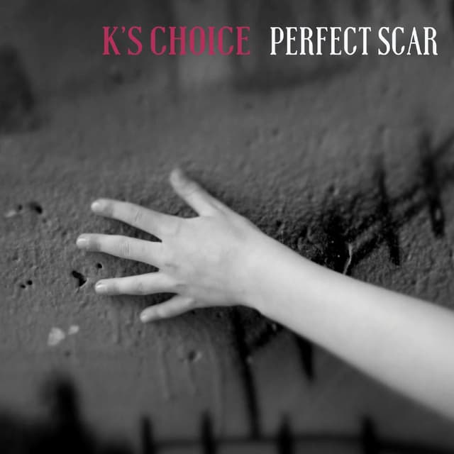 Perfect Scar cover