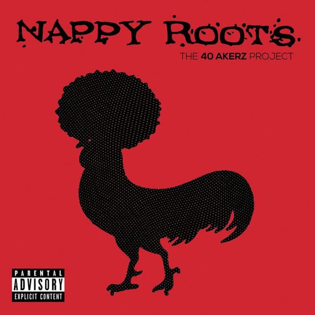 The 40 Akerz Project (10th Anniversary) cover
