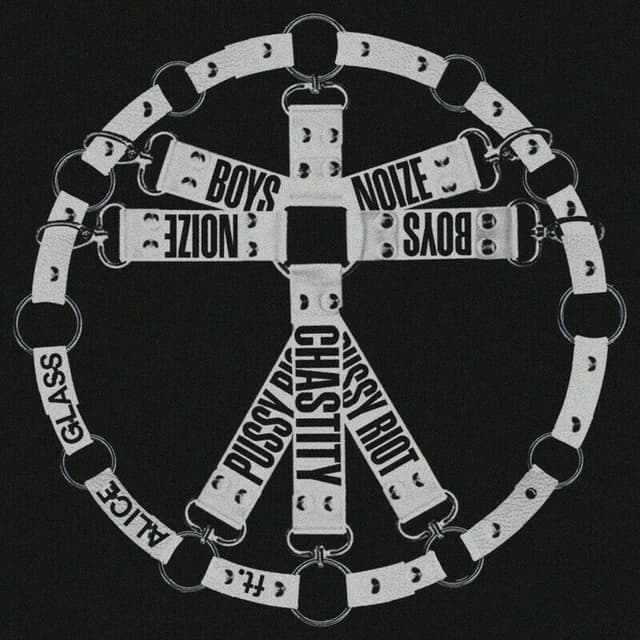 Chastity cover